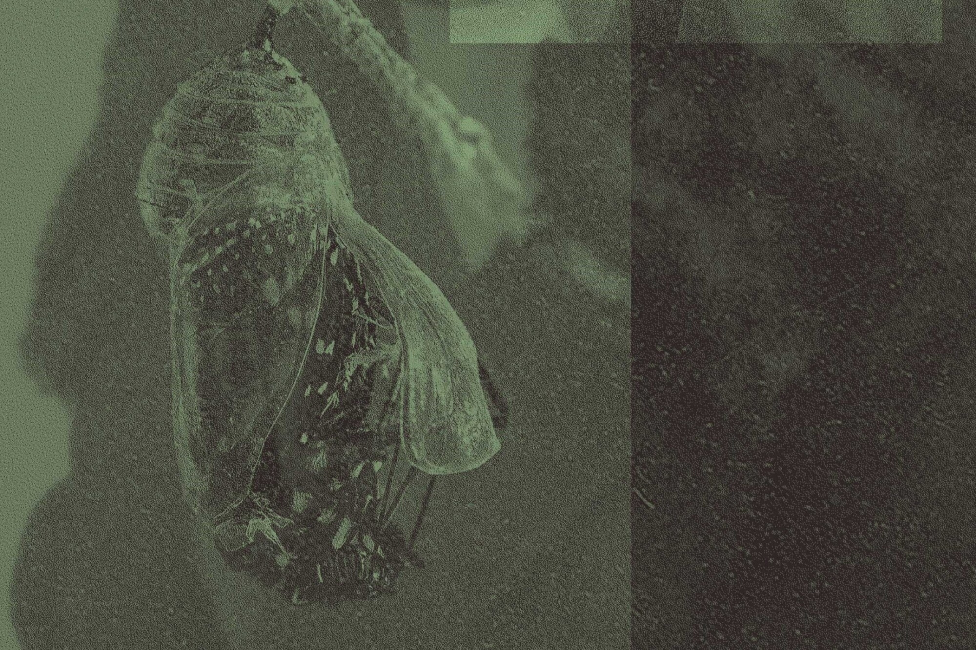 reden über... Flucht und Verwandlung